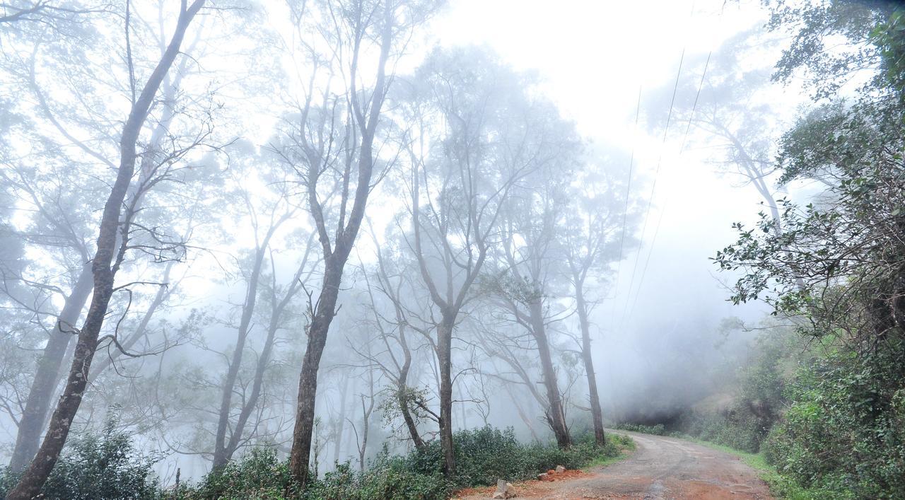 Hotel City Palace Ooty Bagian luar foto