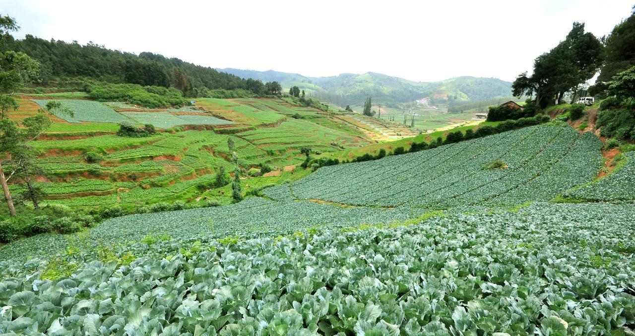 Hotel City Palace Ooty Bagian luar foto